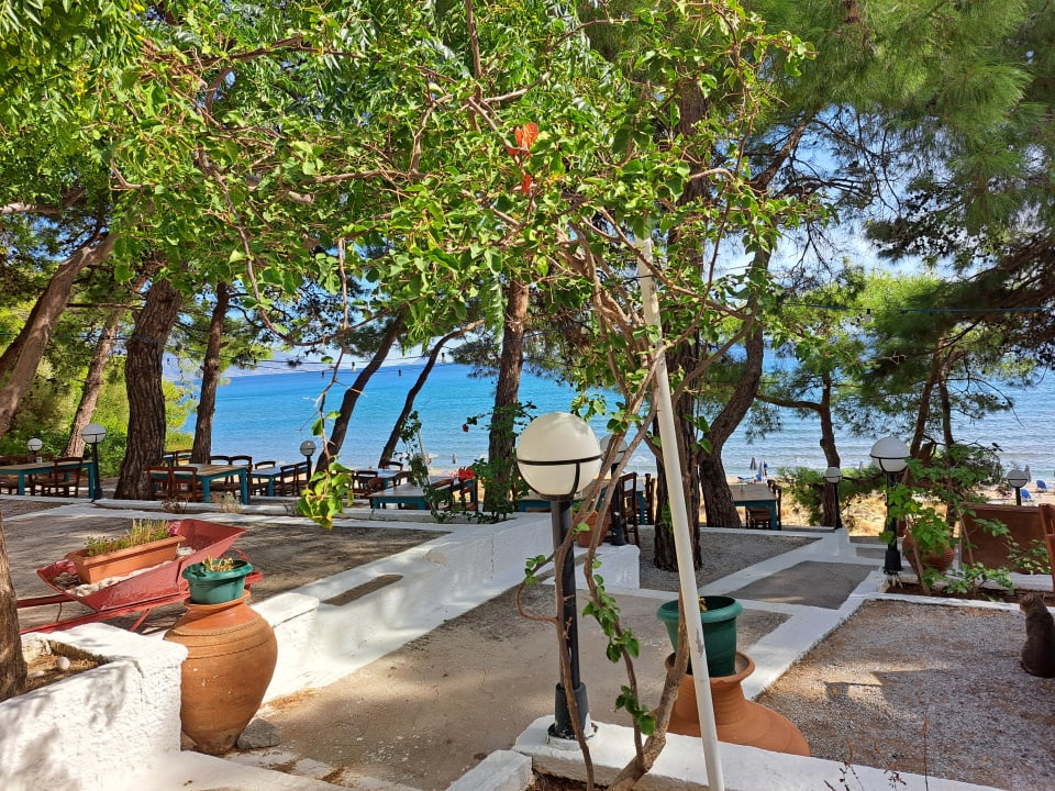 Gastro Hotel Kampos Village Resort