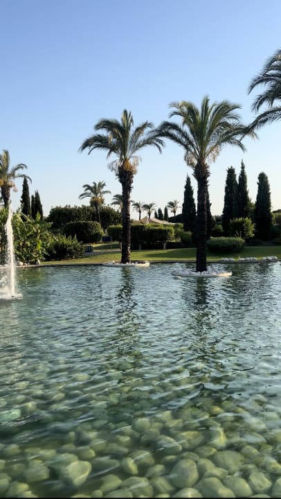 Pool TUI BLUE Tropical