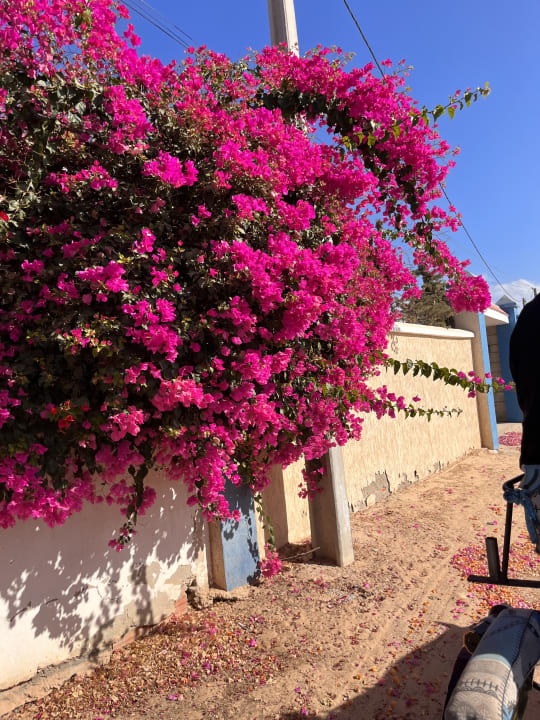 Außenansicht Calimera Yati Beach