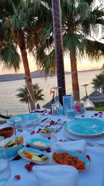 Gastro TUI MAGIC LIFE Bodrum - Adult Only (16+)