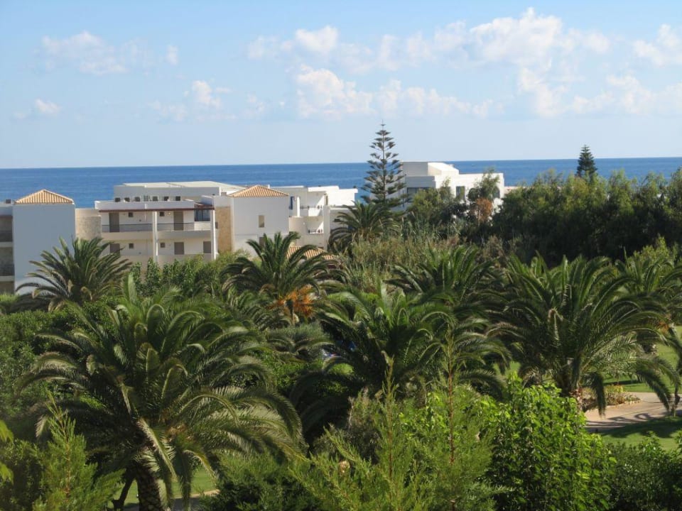 Ogród hotelowy Anissa Beach & Village