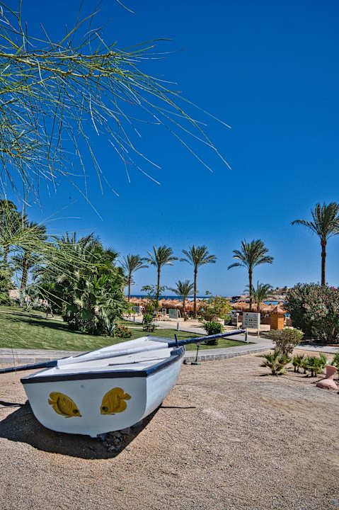 Gartenanlage Steigenberger Coraya Beach - Adults only