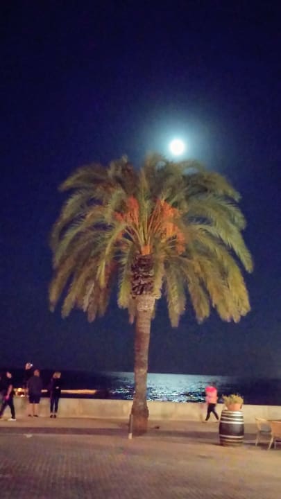 Sonstiges allsun Hotel Bahia del Este