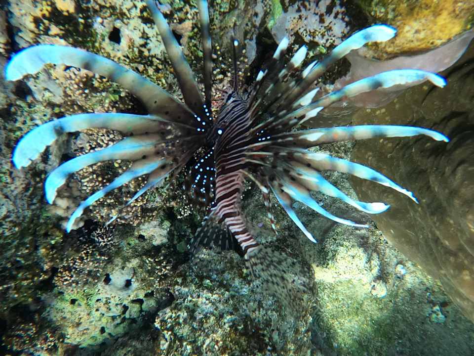 Sonstiges Utopia Beach Club