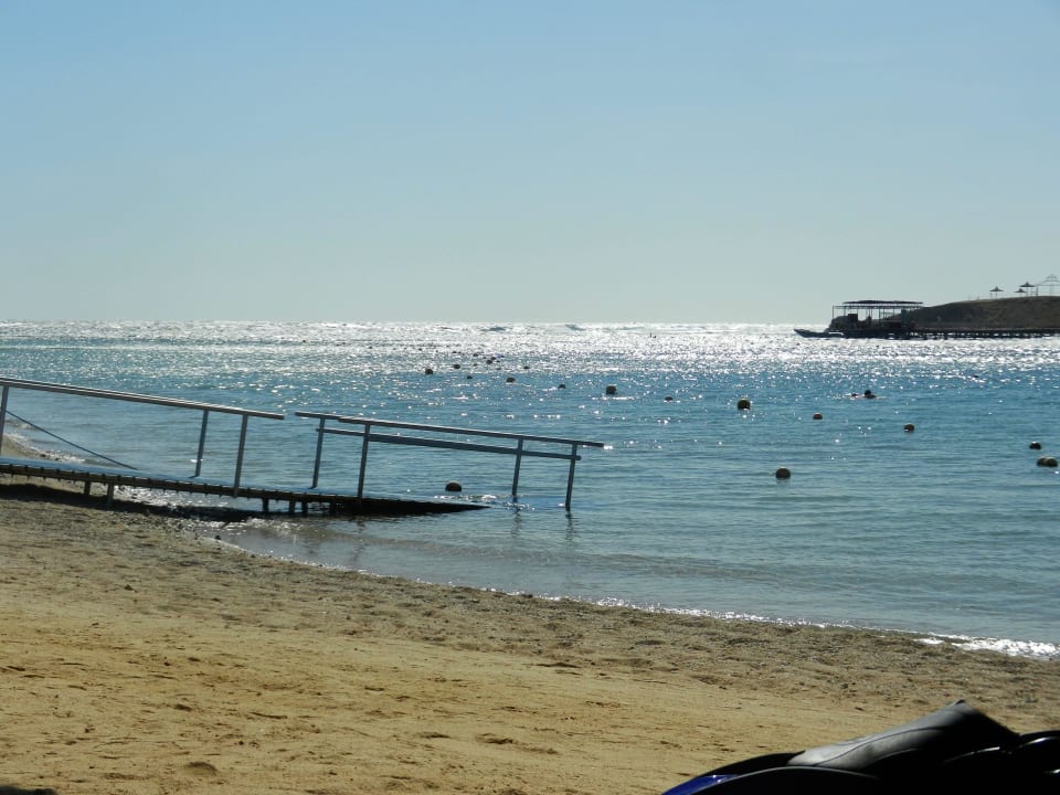 Riffeinstieg Steigenberger Coraya Beach - Adults only