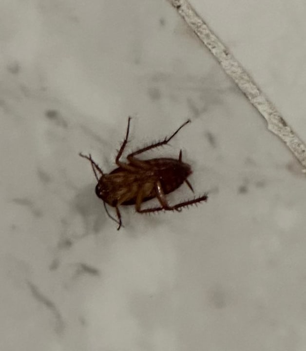 Zimmer Hotel La Unión Affiliated by Meliá