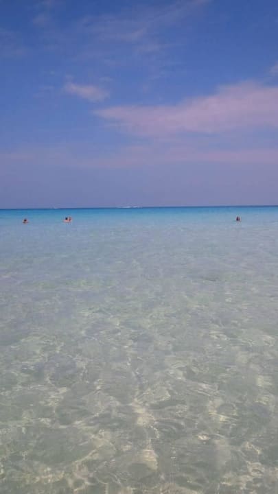 Im Meer bei Windstille ROBINSON DJERBA BAHIYA