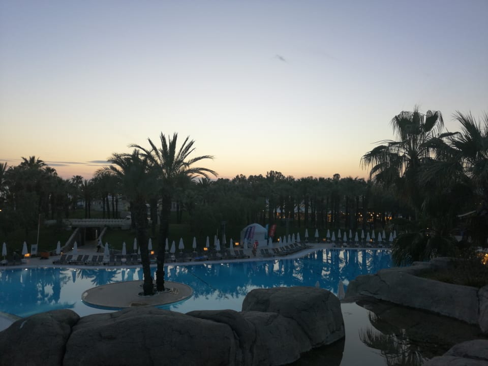 Pool Monachus Family Resort Sorgun