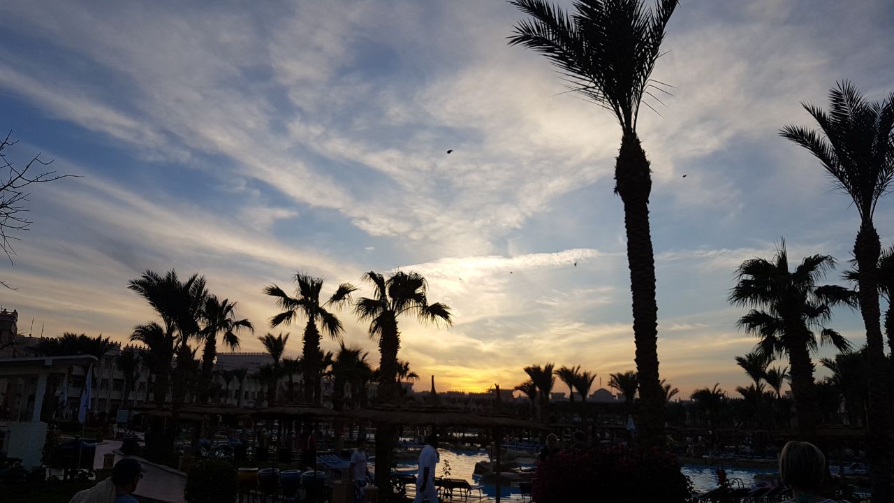 Außenansicht Beach Albatros Resort