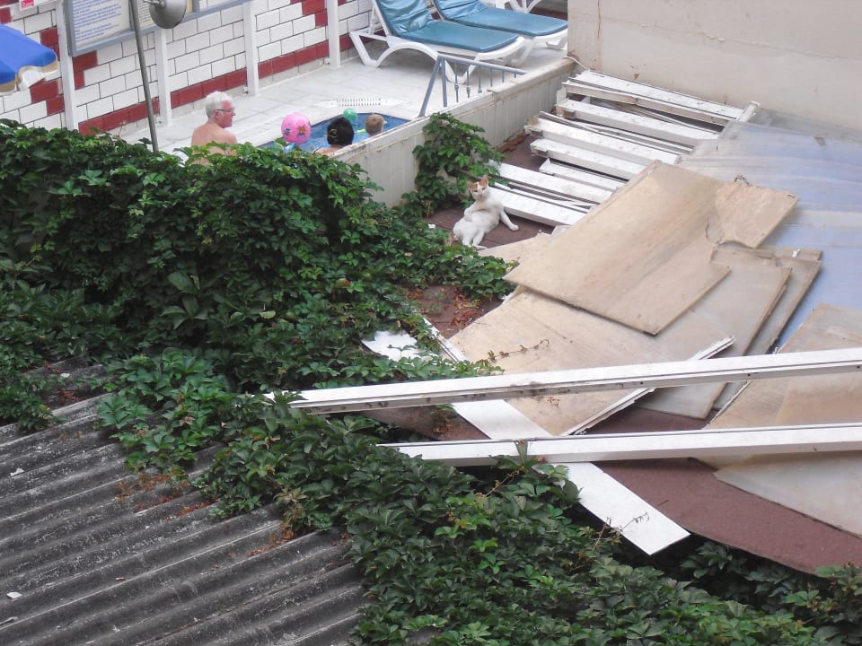 Baummarkt?  Hotel Aslan City Kleopatra