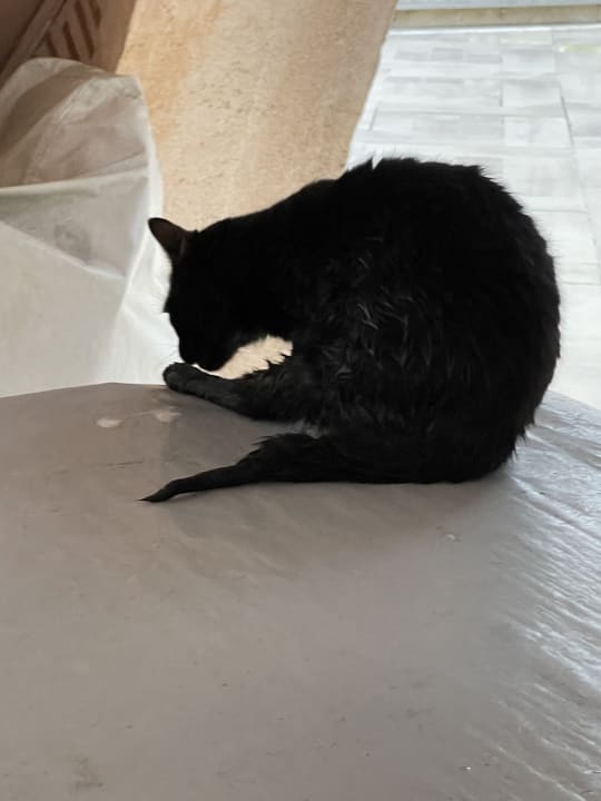 Sonstiges Limak Limra Hotel & Resort