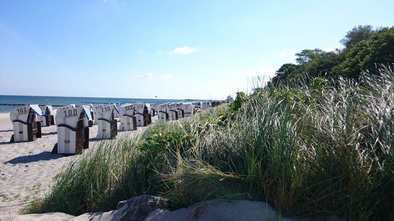 Strandkörbe soweit das Auge reicht  Hotel Am Strand