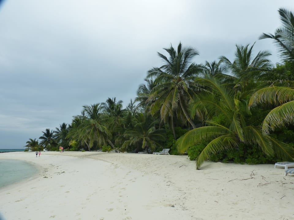 Strand Summer Island Maldives