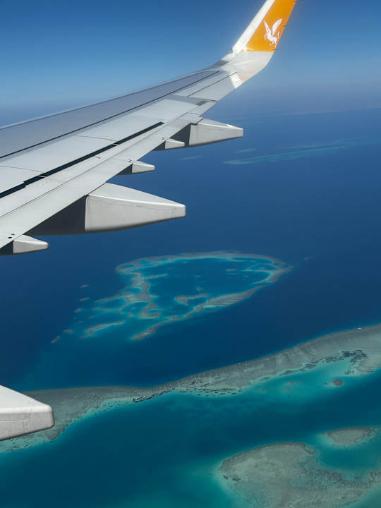 Sport & Freizeit Pickalbatros Royal Moderna Resort-Sharm El Sheikh