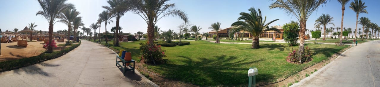 Walking near the lagoon Desert Rose