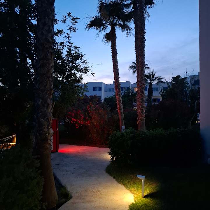 Gartenanlage Cala Llenya Resort Ibiza