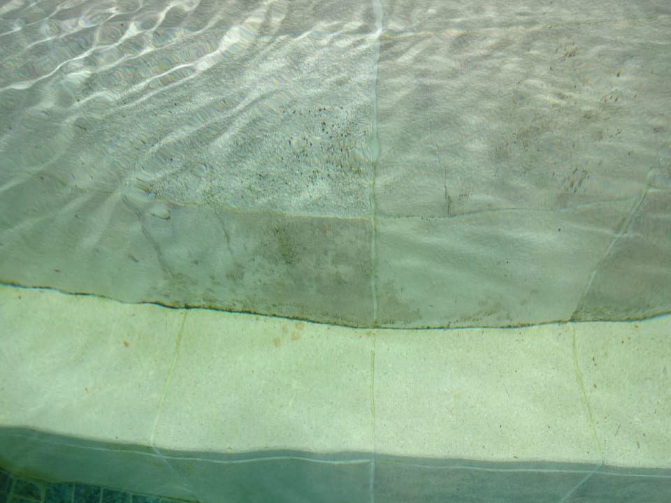 Verdreckt und mit Schimmelbildung Al Bustan Palace - A Ritz-Carlton Hotel