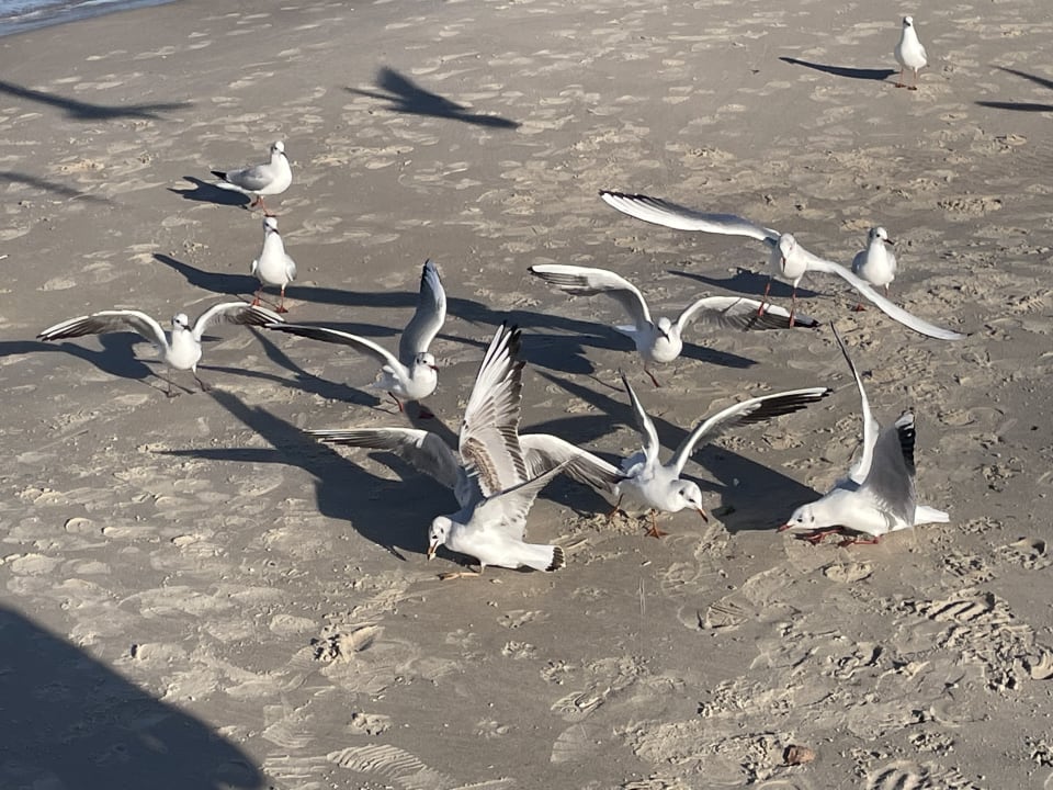 Strand Ferienanlage Vierjahreszeiten