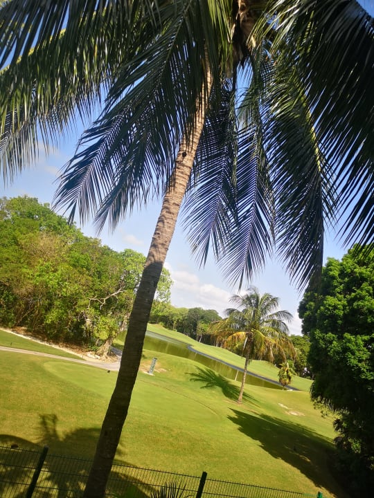 Ausblick Hotel Riu Tequila