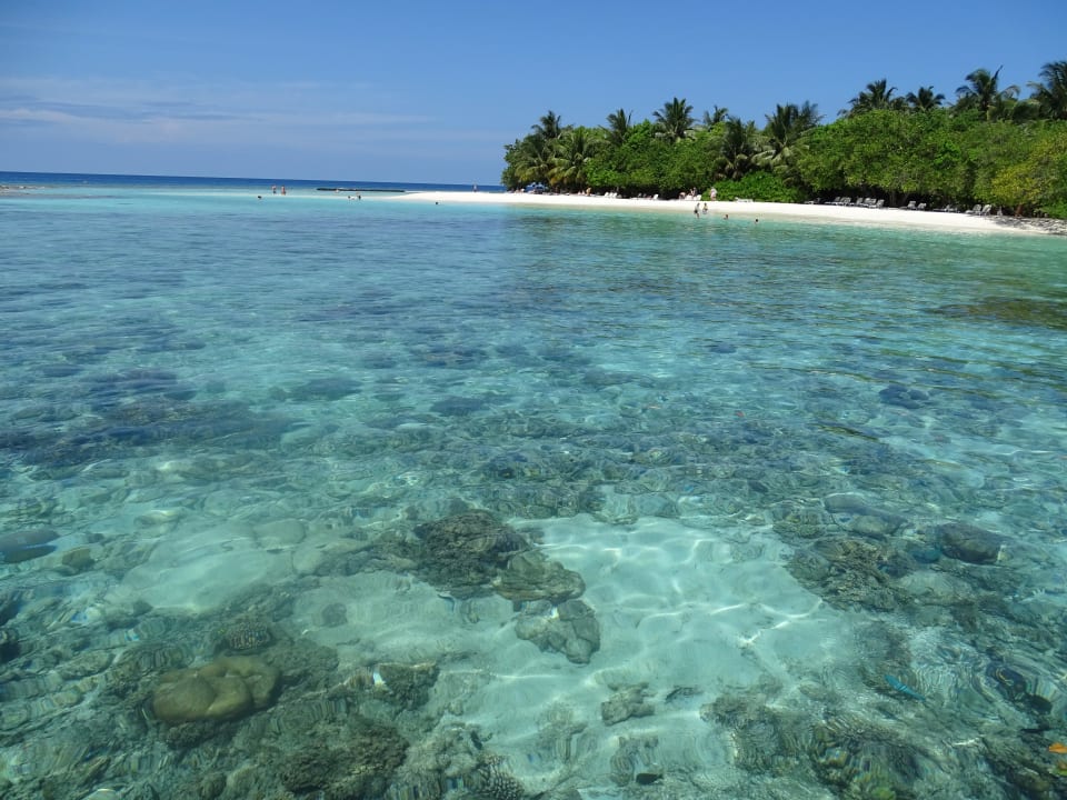 Traumhaft  Kuramathi Maldives