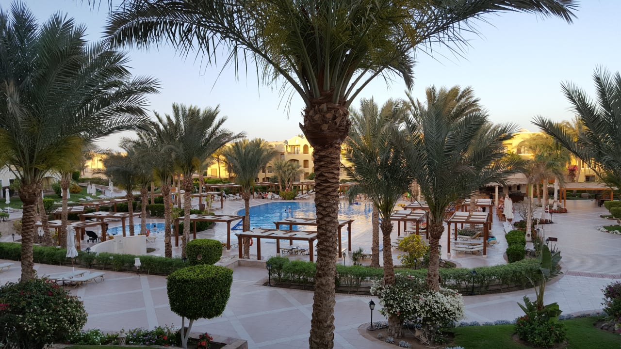 Pool Hotel JAZ Makadi Star & Spa