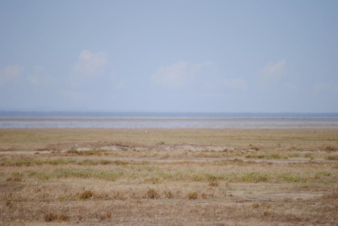 Serengeti Serengeti Serena Safari Lodge