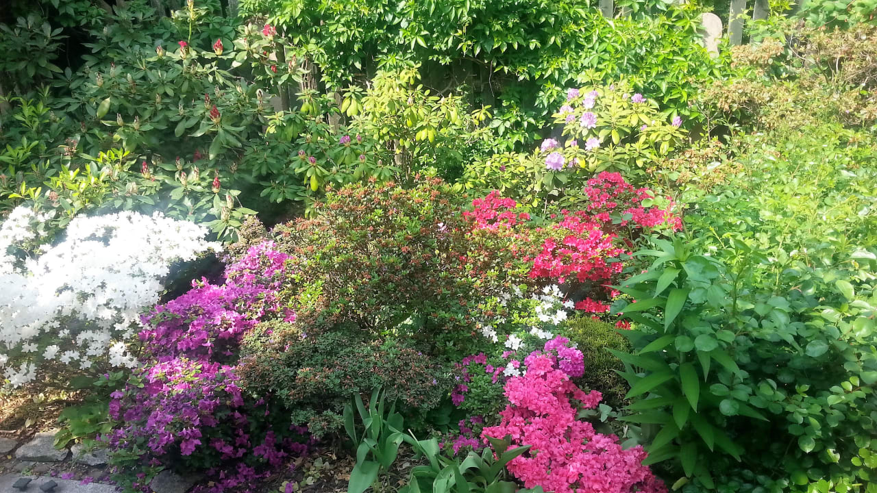 Gartenanlage Słoneczny Apartament