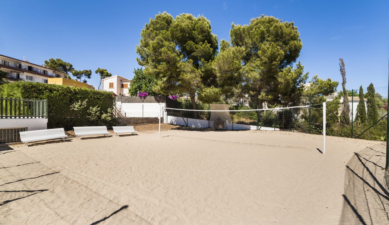 Sport & Freizeit Globales Mimosa