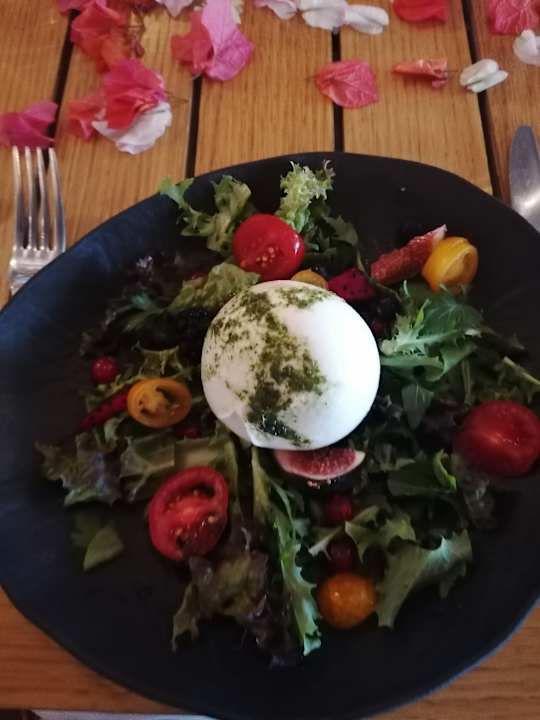 Gastro Rubi Platinum Sign