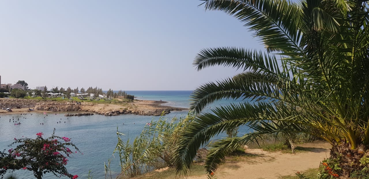 Gartenanlage Crystal Springs Beach Hotel