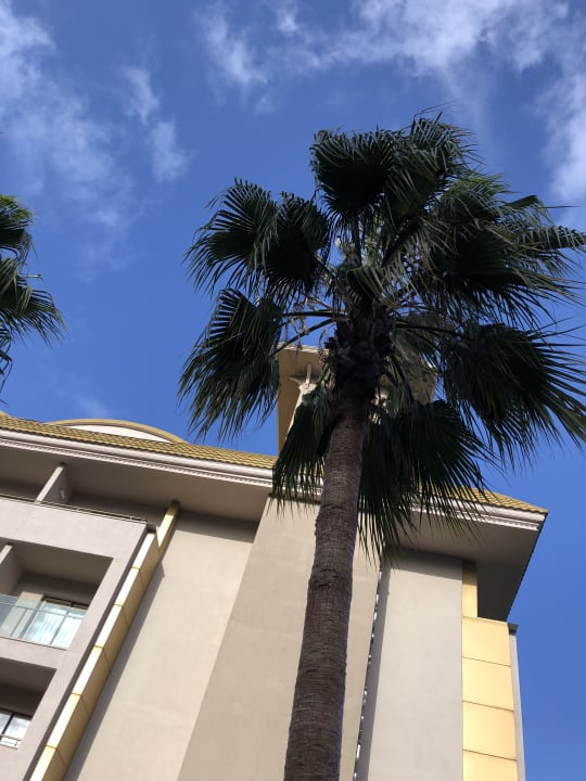 Sonstiges Aydinbey Kings Palace & Spa