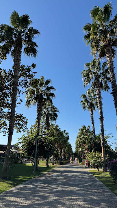 Außenansicht TUI MAGIC LIFE Jacaranda