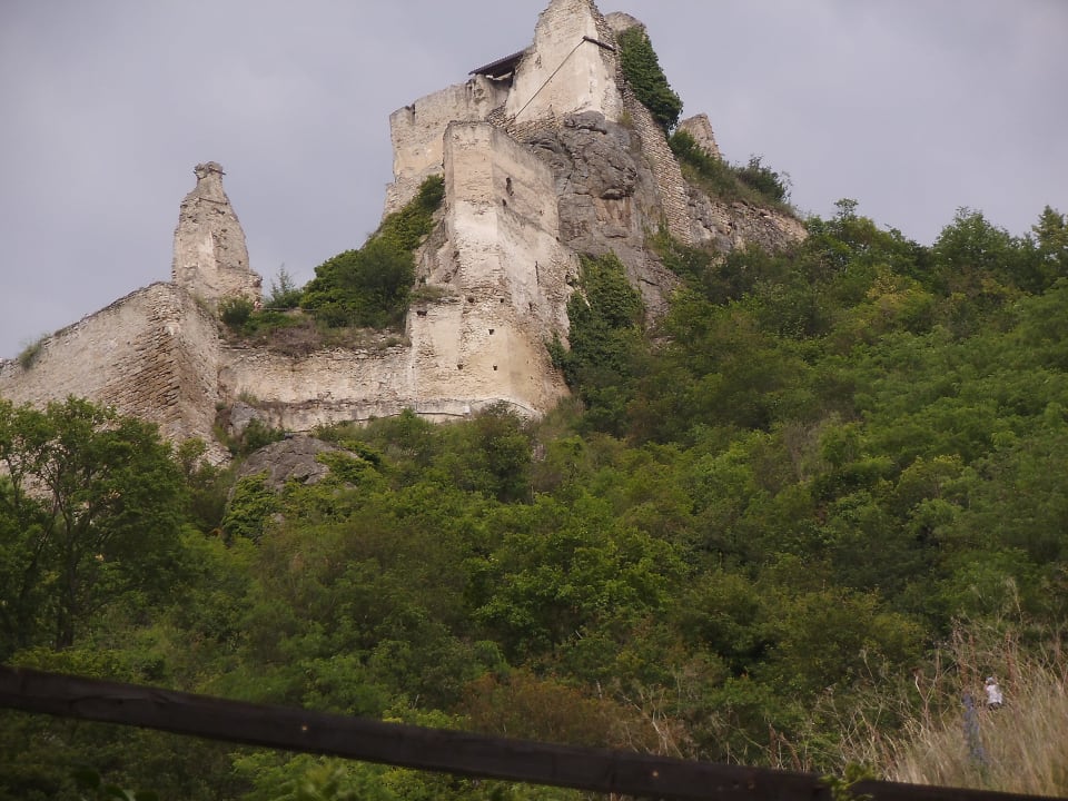 Ruine vom Hotelpool aus sichtbar Gartenhotel Pfeffel