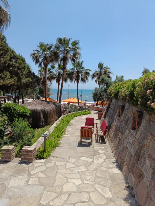 Gartenanlage Arum Barut Collection