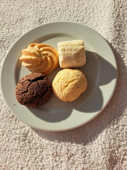 Gastro TUI BLUE Palm Garden