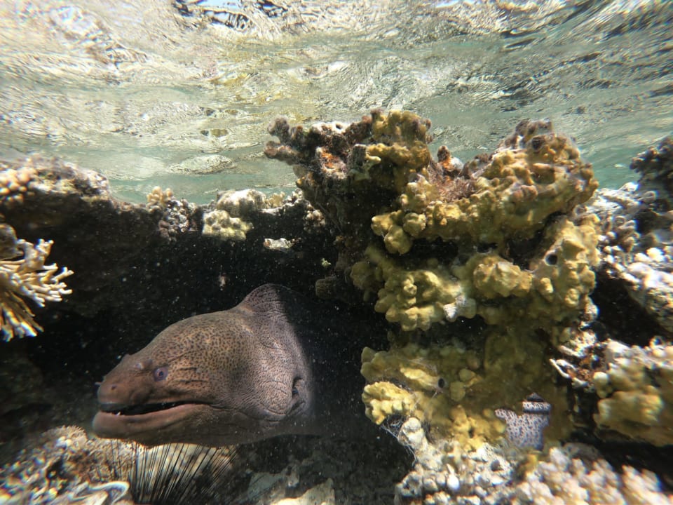 Sport & Freizeit Swisstouch Oriental Resort Marsa Alam