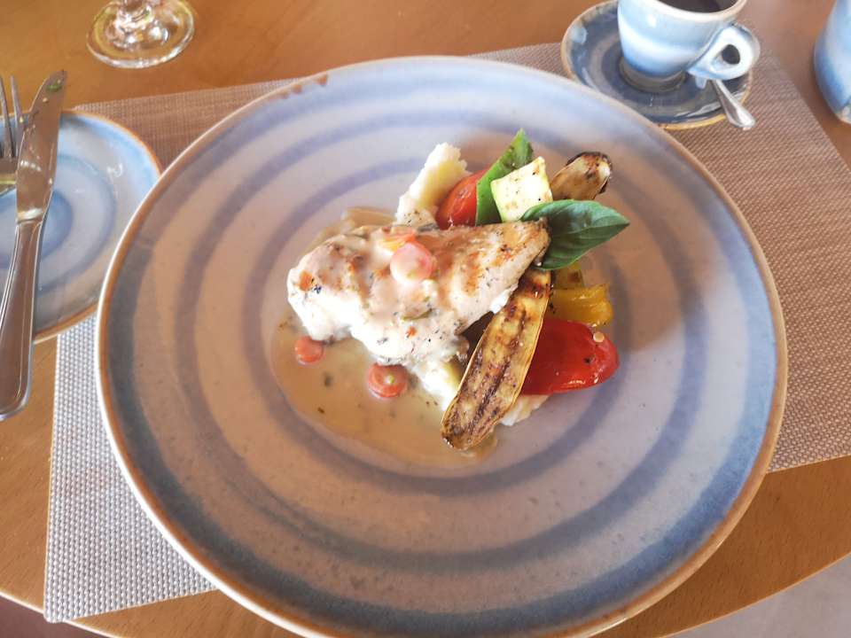 Gastro JAZ Elite Riviera