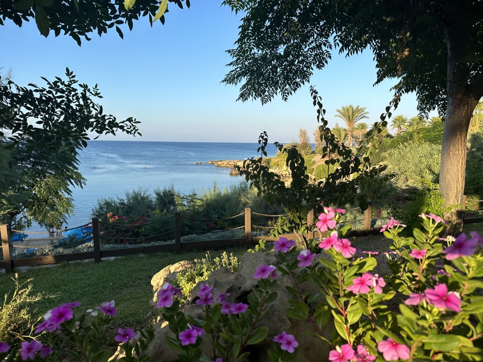 Ausblick Crystal Springs Beach Hotel