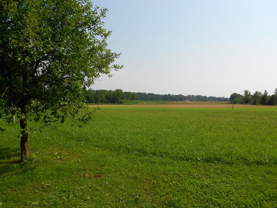 Ausblick von der Terrasse aus Pension Salzingerhof