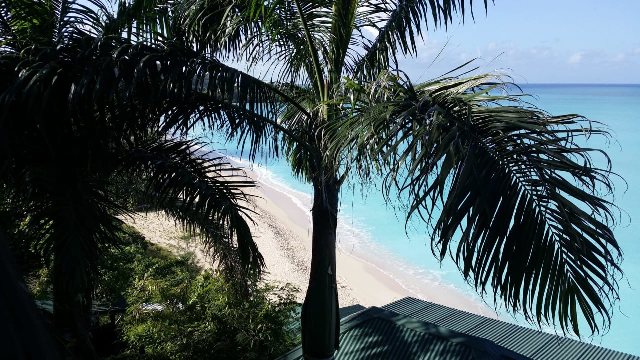 Ausblick vom Oceanview-Bungalow Cocos Hotel Antigua - Adults Only