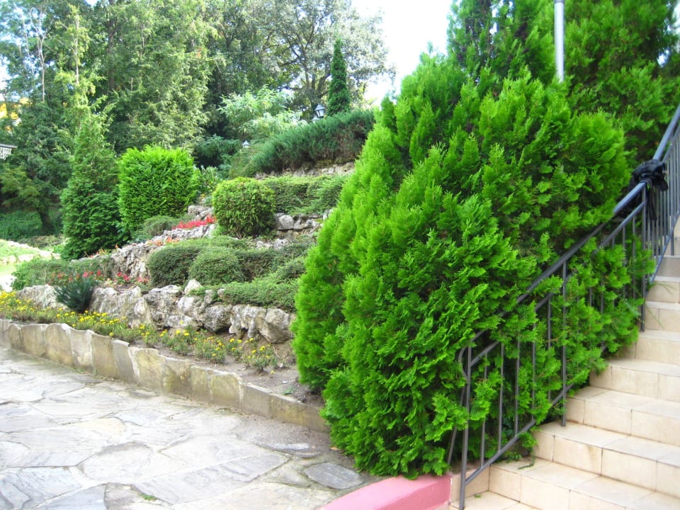 Park Odessos Park Hotel