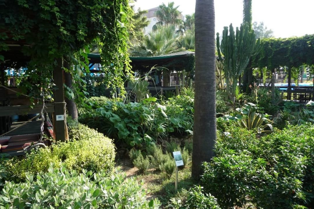 Prawdziwa zieleń! Arycanda Kirman Premium