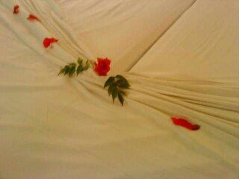 Einfach toll, die liebe zum Detail Hotel El Mouradi Djerba Menzel