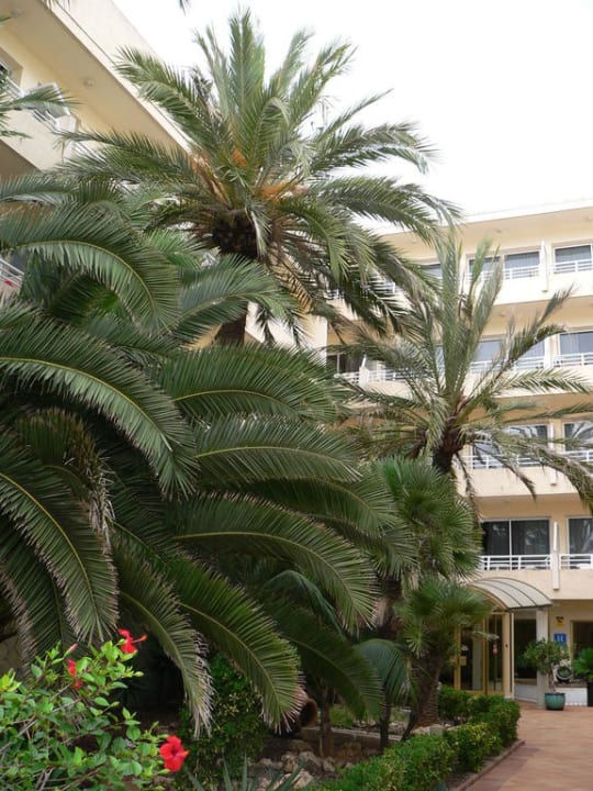 Eingang zum Hotel The Sea Hotel by Grupotel - Adults only