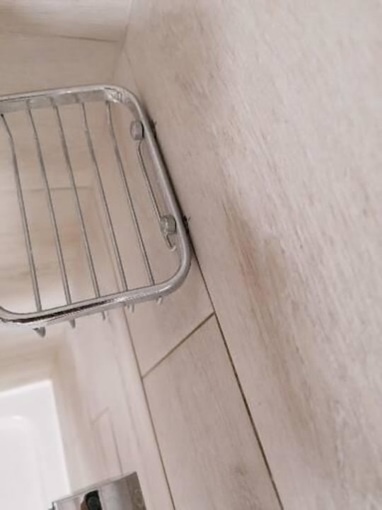 Zimmer Alcudia Garden Aparthotel