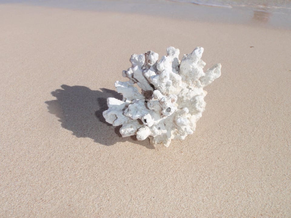 На берегу. Stella Garden Resort & Spa, Makadi Bay