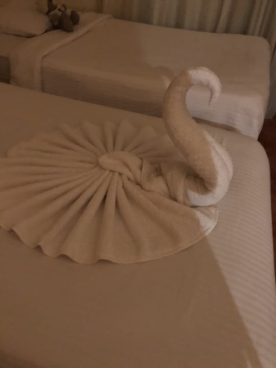 Zimmer Three Corners Sea Beach Resort