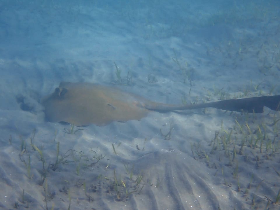 Strand Shams Alam Beach Resort