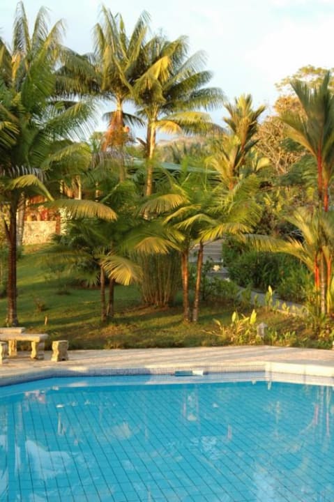 Pool im Garten Finca Bavaria