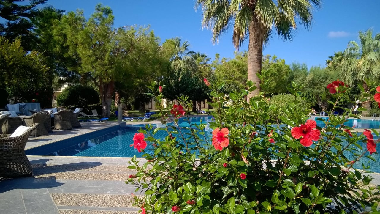 Außenbereich der Lobbybar und Pool Phãea Cretan Malia